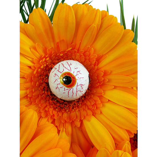 Eyes wide open - Standard