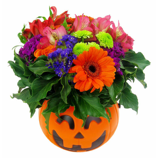Pumpkin Posy - Standard