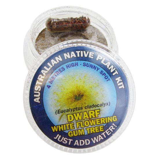 White Flowering Gum Seed Kit - Standard