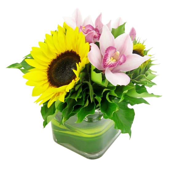 Sunflowers and Cymbidium vase - Standard