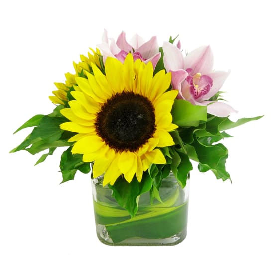 Sunflowers and Cymbidium vase - Standard