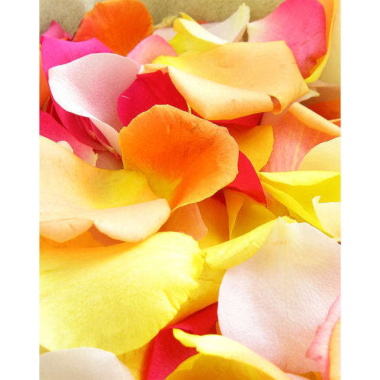 Mixed Rose Petals - Small - Deluxe