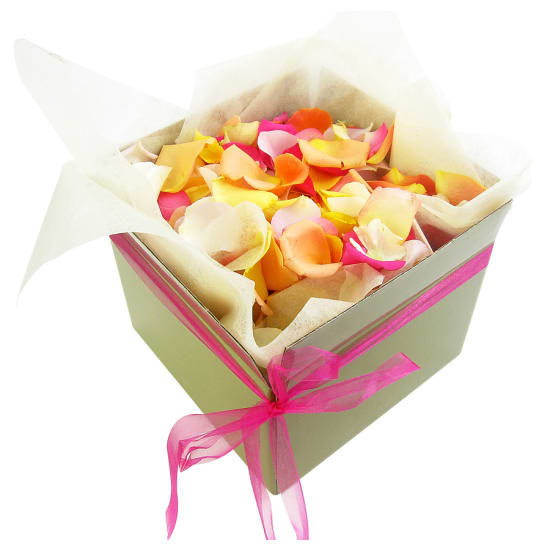 Mixed Rose Petals - Large - Deluxe