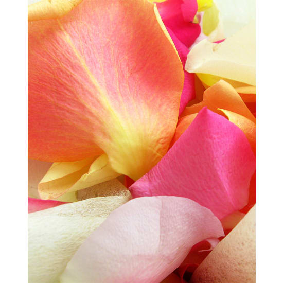 Mixed Rose Petals  - Standard