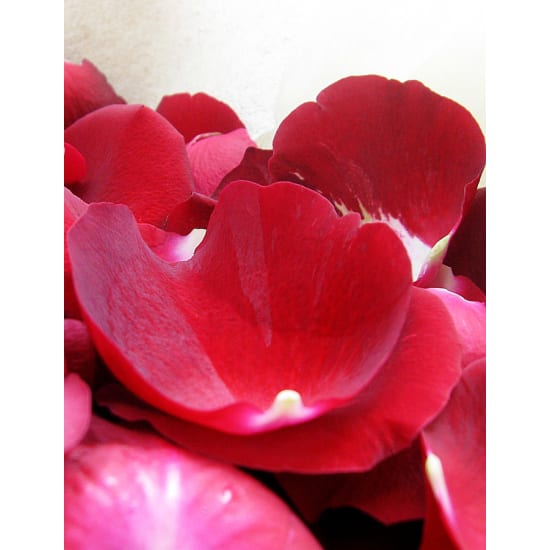 Rose Petals -  (Dont Use)  - Deluxe