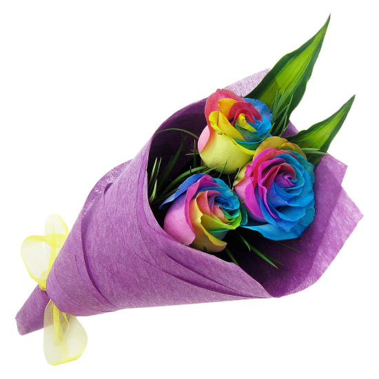 Rainbow Roses - Standard