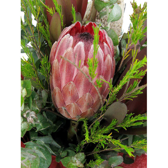 Wildflower Posy Box - Standard