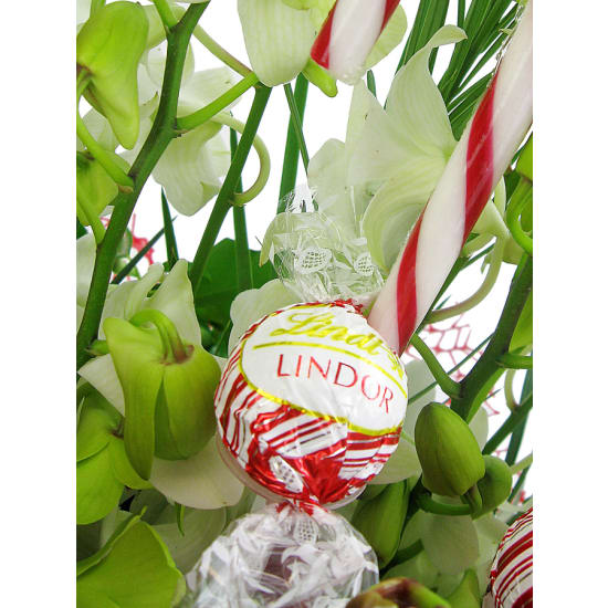 Christmas Treat - Standard