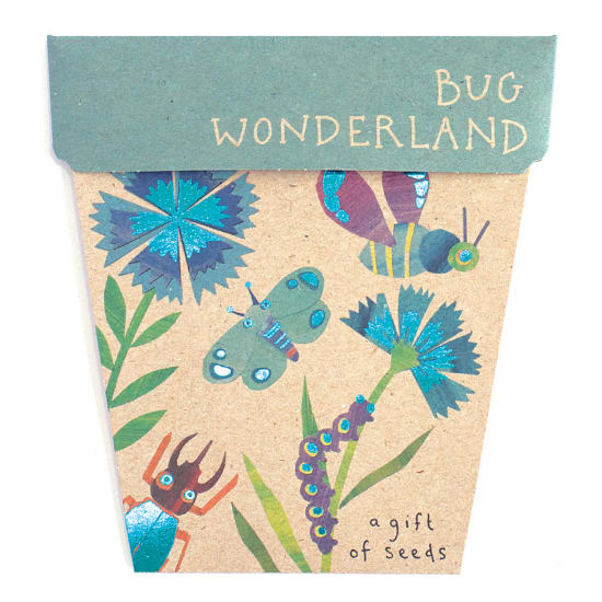 Bug Wonderland Seeds - Standard