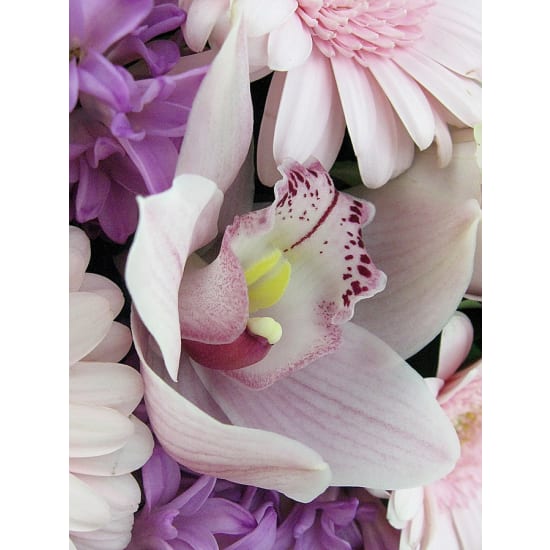 Prettiest Pastels Posy - Standard