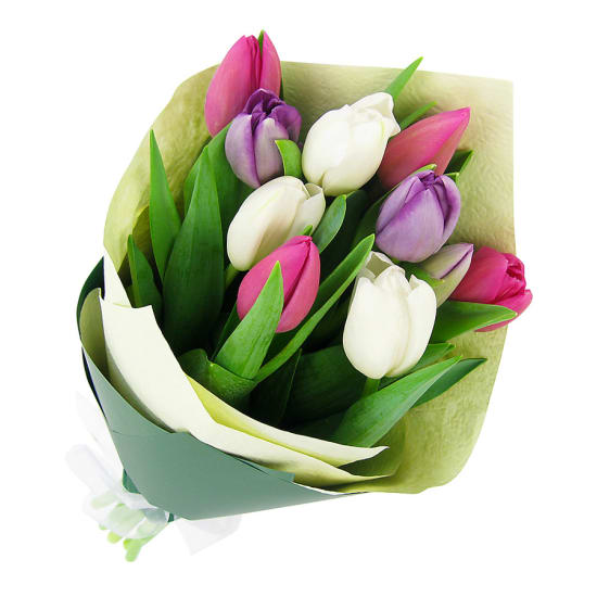 Tulips Pastel Mixed - Standard