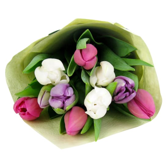 Tulips Pastel Mixed - Standard