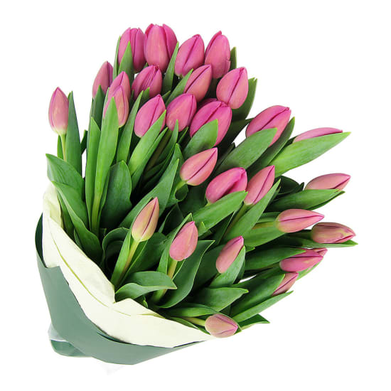 Pink Tulip Bunch - Premium