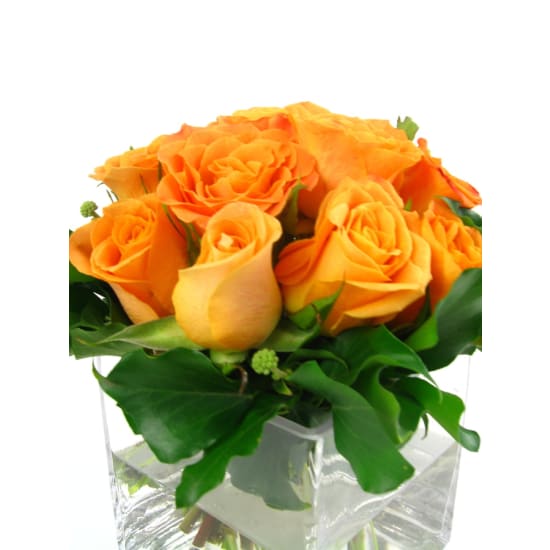 Orange Rose Vase - Deluxe