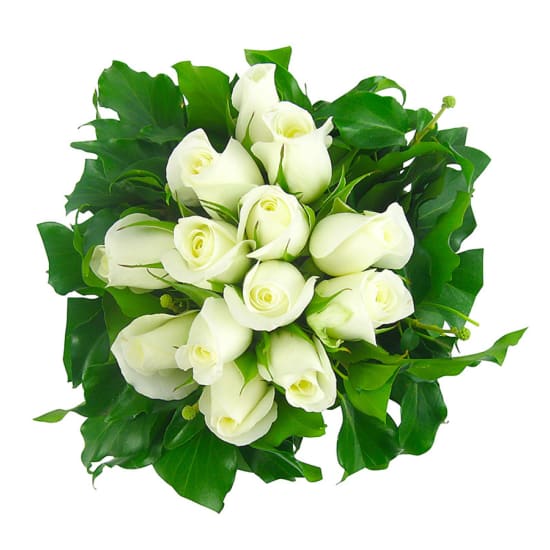 White Rose Vase - Standard