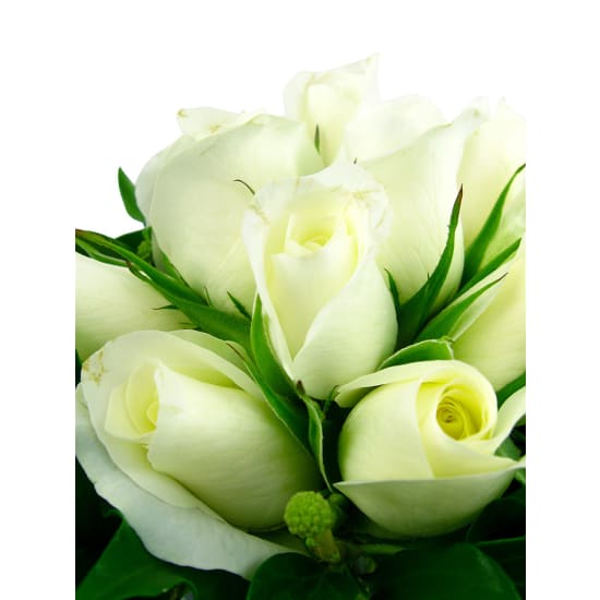 Mother's Day White Rose Vase - Deluxe