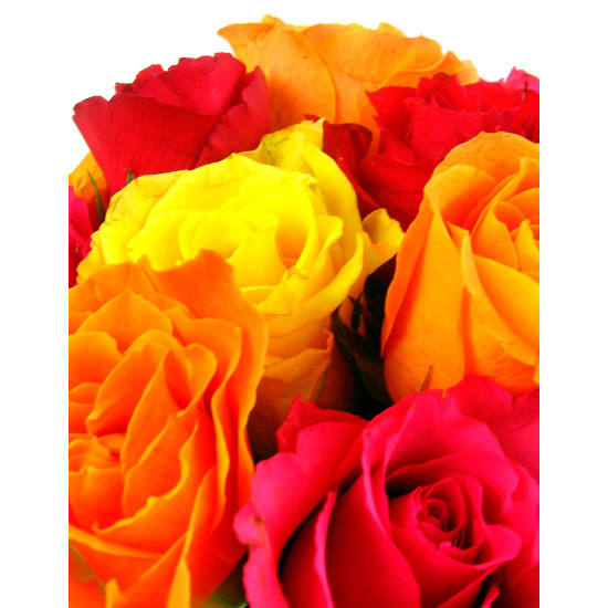 Mixed Bright Rose Vase - Deluxe