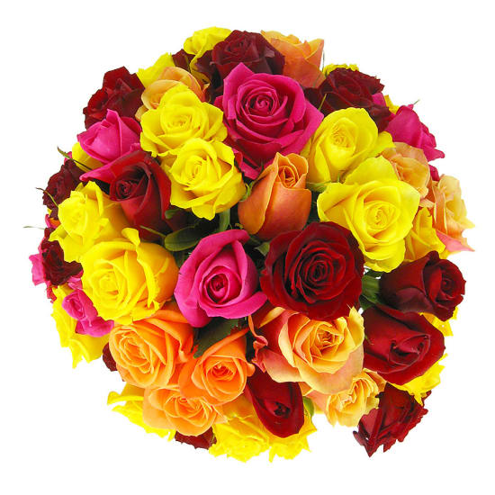 Mum's Day Mixed Bright Roses - Standard