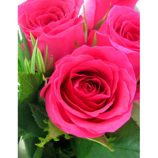 Pink Roses - 6 Roses (Half Dozen)