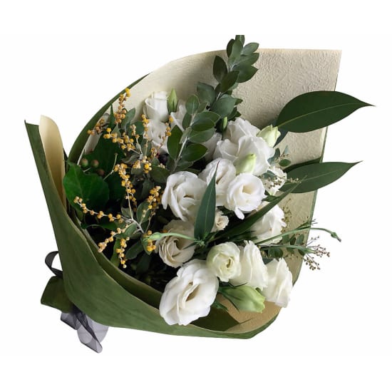 Picture Perfect - Standard