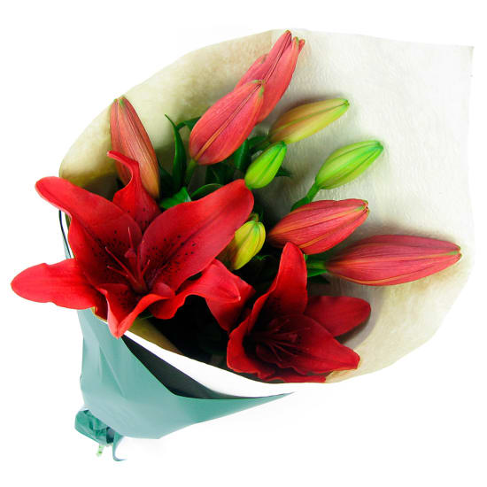 Red Lily bunch - Standard