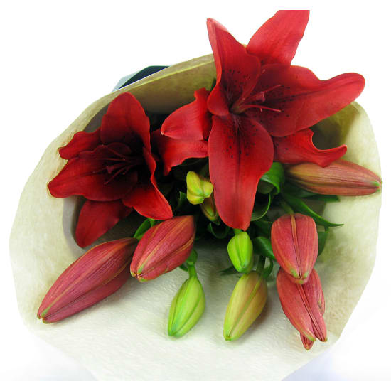 Red Lily bunch - Standard