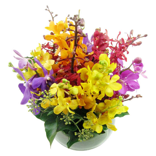 Mother's Day Orchid Fishbowl - Deluxe