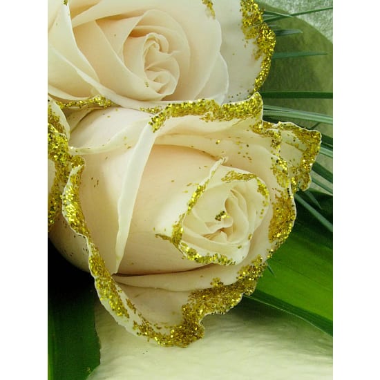 Glitz And Glam Roses - Standard
