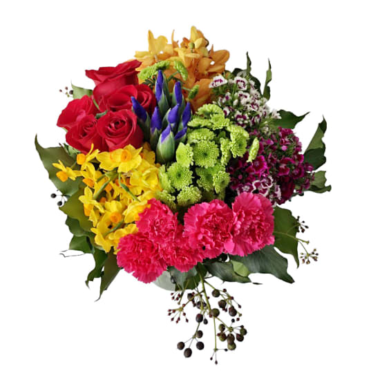 Rainbow Garden - Standard