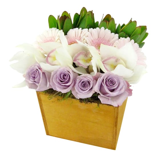 Rustic Rows - Deluxe