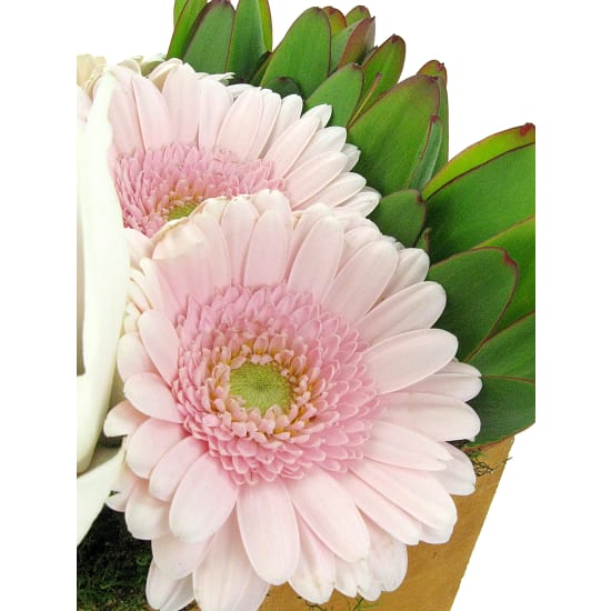 Rustic Rows - Deluxe