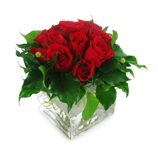 Red Rose Vase - Standard