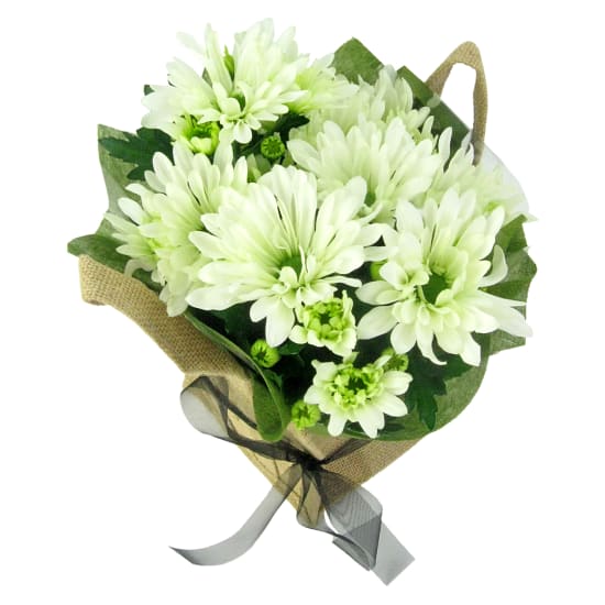 White Delicate Chrysanthemum - Standard