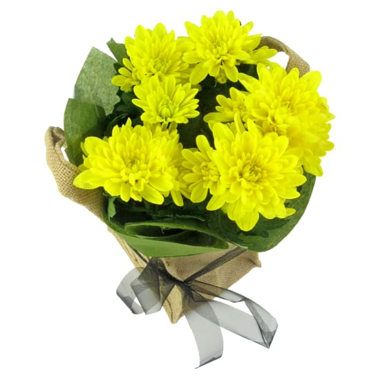 Yellow Delicate Chrysanthemum - Standard
