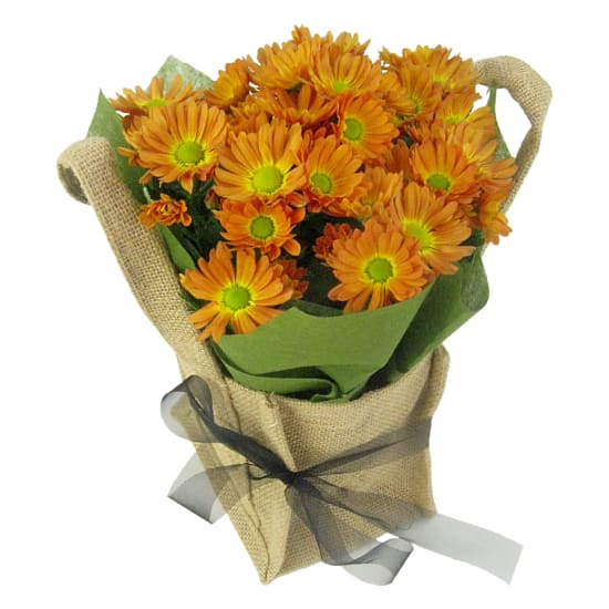 Orange Delicate Chrysanthemum - Standard