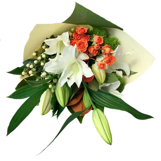 Springtime Reverie  - Standard