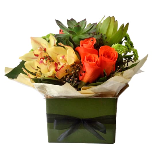  Beauty Bursts Forth - Standard