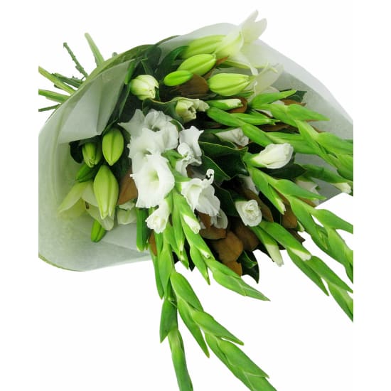 Springtime Splendour - Standard