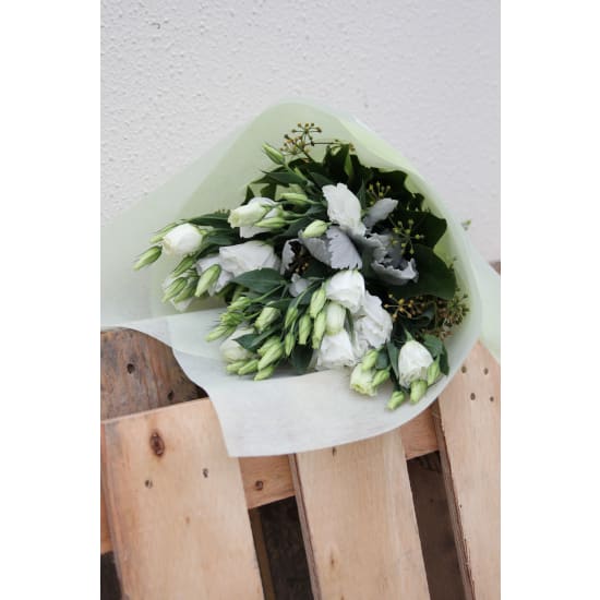 Picture Perfect - Standard