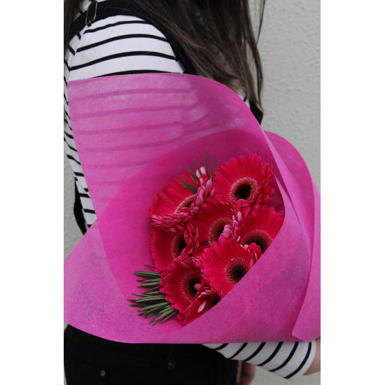 Mother's Day Gerberas - Standard