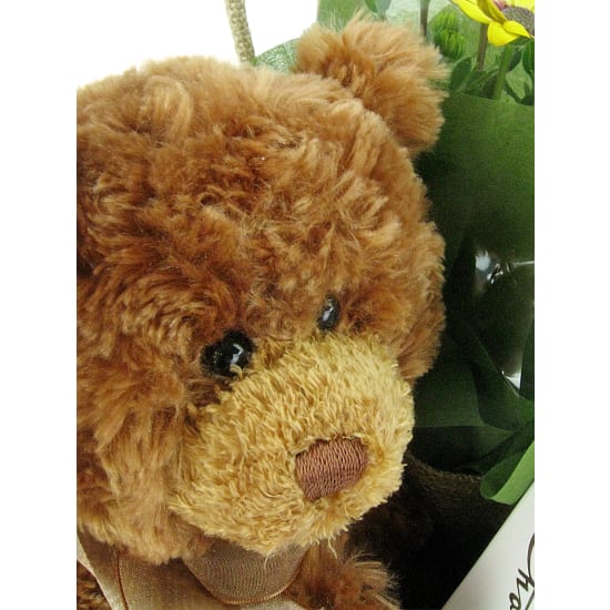 Beary Special  - Standard