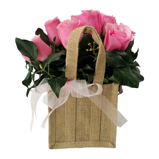 First Blush - Standard