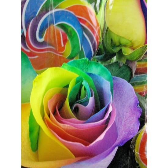 Oh Lolli Lollypop - Standard