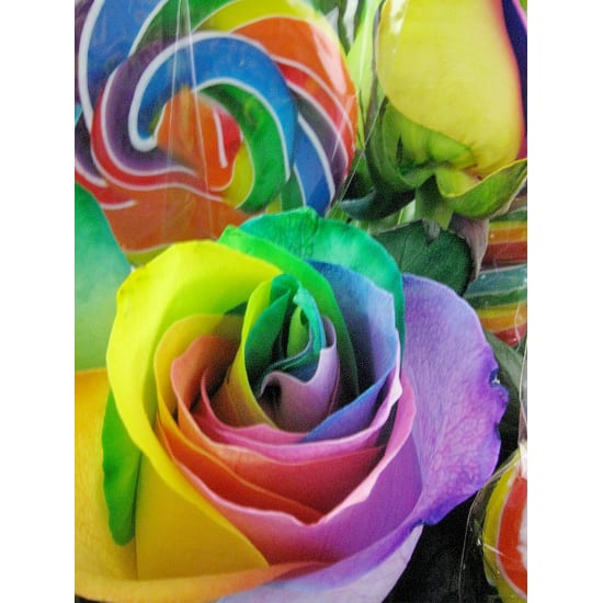 Oh Lolli Lollypop - Standard