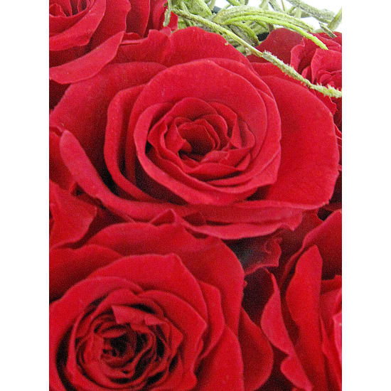 From The Heart Preserved Roses - Standard