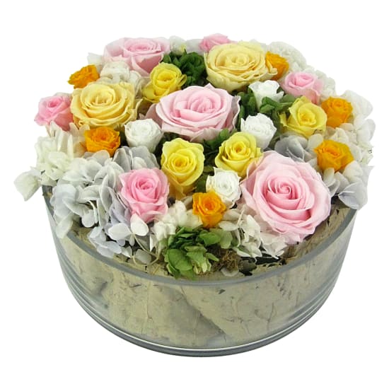 Queen's Garden  - Standard