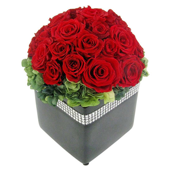 Haute Couture Preserved Roses - Standard