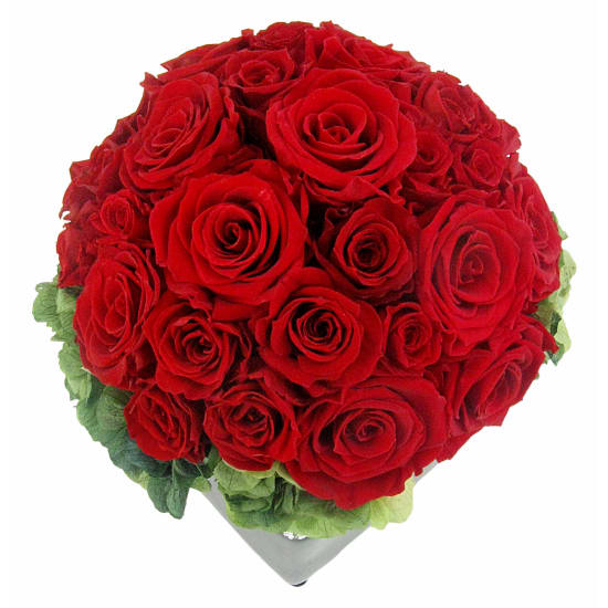 Haute Couture Preserved Roses - Standard