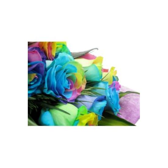 12 Rainbow Roses - 12 Roses (One Dozen)