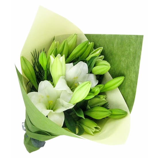 Pure Christmas - Deluxe